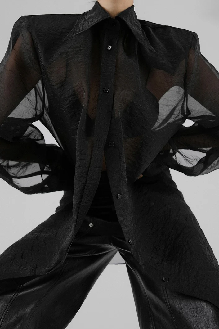Elegant Sheer Long Sleeve Blouse - Image 2