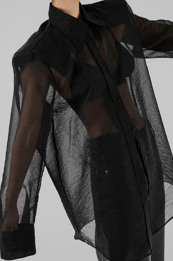 Elegant Sheer Long Sleeve Blouse - Image 4